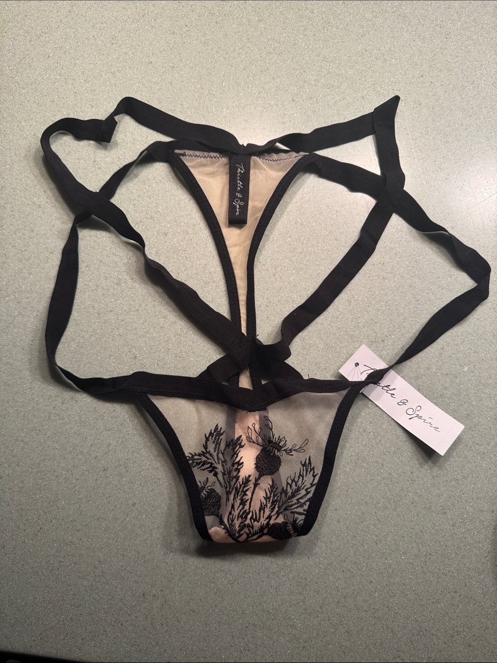 Thistle and Spire Black Strappy Sheer Embroidered Thong